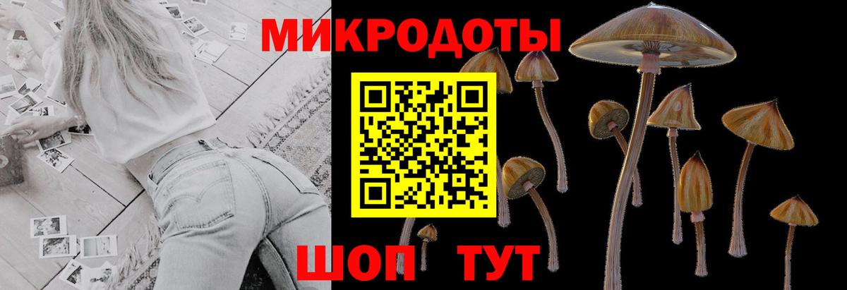 Асино  Галлюциногенные грибы мицелий  Вход с VPN 